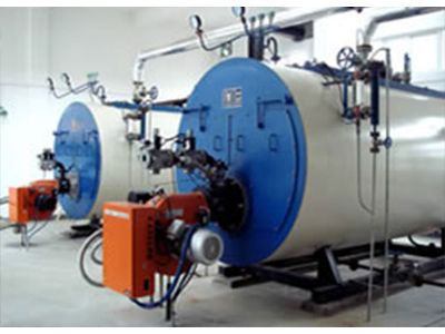 WNS Caldera de Agua Caliente a Gas Combustible